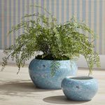 Product Image 3 for Monarch Empress Pot from Napa Home And Garden