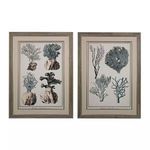 Product Image 1 for Oversized Coral Species I, Ii   Fine Art Giclee Under Glass from Elk Home