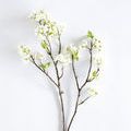 Product Image 4 for Matilda Cherry Blossom Branch - 47", Single from Napa Home And Garden