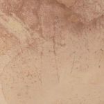 Product Image 4 for Unforeseen Beauty By Molly Supplee from Four Hands