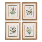 Product Image 2 for Garden Botanical Prints, Set Of 4 from Napa Home And Garden