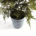 Product Image 3 for Plumosa Fern Drop-In 21" from Napa Home And Garden