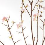 Product Image 2 for Pink Quince Blossom Branches , Set Of 2 from Napa Home And Garden