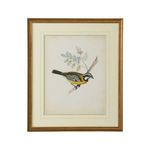 Product Image 1 for Delicate Birds V Artwork from Chelsea House