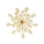 Product Image 12 for Kaia Small Chandelier from Arteriors