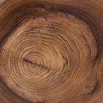 Close-up of stool top surface showing detailed natural growth rings and circular wood grain