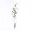 Product Image 3 for Gwendolyn Blossom Branches - 48", Bundle of 2 from Napa Home And Garden
