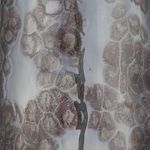 Product Image 2 for Patagonia Table Lamp from Jamie Young