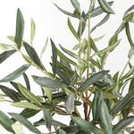 Product Image 3 for Olive Tree Drop-In from Napa Home And Garden