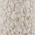 Product Image 2 for Turbinella White Floor Lamp from Currey & Company