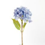 Product Image 2 for Hydrangea Stems , Set Of 6 from Napa Home And Garden