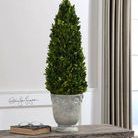 Product Image 2 for Uttermost Boxwood Cone Topiary from Uttermost