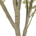 Product Image 6 for Faux Eucalyptus Tree from Four Hands