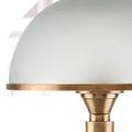Close-up of the frosted glass dome shade with antique brass rim