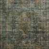 Traditional Anniston Lagoon Multi Rug with distressed tones and saturated blue, green, beige motifs
