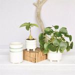 Product Image 3 for Fluorite Vase, Ceramic   White, Teal from Homart