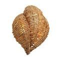 Product Image 4 for Anguilla Wall Sconce from Jamie Young