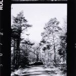 Product Image 9 for Travel Film I By Annie Spratt from Four Hands