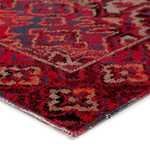 Product Image 3 for Chaya Indoor/ Outdoor Medallion Red/ Black Rug from Jaipur 