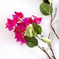 Product Image 1 for Agnes Bougainvillea Stems - 54", Bundle of 2 from Napa Home And Garden