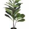Product Image 6 for Potted Faux Fiddle Fig Leaf Plant from Creative Co-Op
