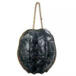 Turtle Shell Accessory image 1