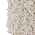 Product Image 4 for Turbinella White Floor Lamp from Currey & Company