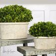 Uttermost Oval Domes Preserved Boxwood Set/2 image 2