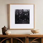 Product Image 2 for Floral Film II Framed Black and White Photograph by Annie Spratt from Four Hands