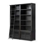 Product Image 1 for Admont Worn Black Veneer Traditional Double Bookcase with Ladder from Four Hands