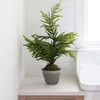 Product Image 5 for Aurora 20" Norfolk Pine Tree in Gray Pot from K&K Interiors