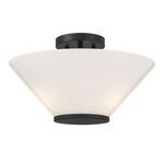 Blair pendant viewed from a slight upward angle showing top matte black canopy