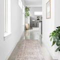Skye rug in a narrow bright hallway with concrete floor and large potted plant at end