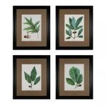 Product Image 1 for Oak Leaves from Elk Home