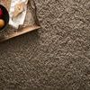Product Image 3 for Cozy Shag Taupe Rug from Loloi