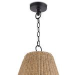 Product Image 5 for Summer Outdoor Pendant from Coastal Living