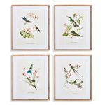 Product Image 1 for Hummingbirds With Blush Blooms, Set Of 4 from Napa Home And Garden