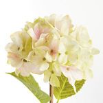 Product Image 3 for Hydrangea Stems , Set Of 6 from Napa Home And Garden