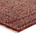 Product Image 2 for Jairus Transitional Oriental Red/ Black Rug - 18" Swatch from Jaipur 