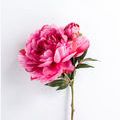 Product Image 4 for Fuchsia Peony Stem, Set of 3 from SN Warehouse