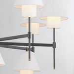 Product Image 2 for Glenmoore 12-Light Chandelier - Aged Brass from Hudson Valley