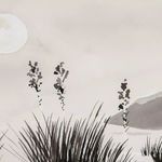 Product Image 4 for Dunes By Kelly Colchin from Four Hands