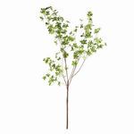 Product Image 1 for Shady Lady Black Olive Branches , Set Of 2 from Napa Home And Garden