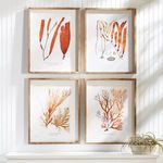 Product Image 2 for Coral Reef Study, Set Of 4 from Napa Home And Garden