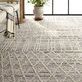 Product Image 9 for Caiya Modern Trellis Cream/ Gray Rug - 18" Swatch from Jaipur 