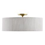 Ceiling light shown from a straight-on angle with emphasis on shade texture and brass mount