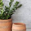 Product Image 5 for Arie Planter from Creative Co-Op