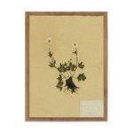 Front view of middle panel showing two small white flowers and green leaves on textured beige background