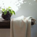 Product Image 3 for Maxx 50"x70" Cotton Throw from Under the Bough