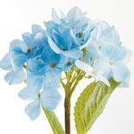 Product Image 2 for Hydrangea Stems , Set Of 6 from Napa Home And Garden